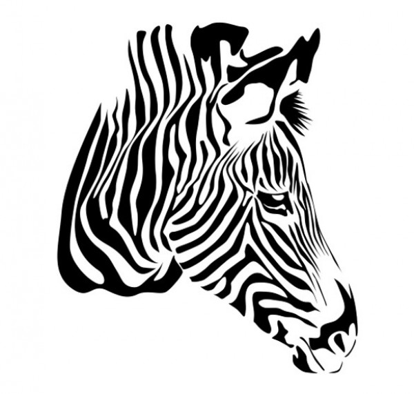 Black Striped Zebra Vector Illustration - WeLoveSoLo