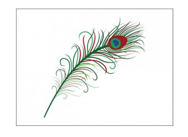 web vector feather vector unique ui elements stylish quality peacock feather peacock original new interface illustrator high quality hi-res HD graphic fresh free download free feather elements download detailed design creative colorful AI 