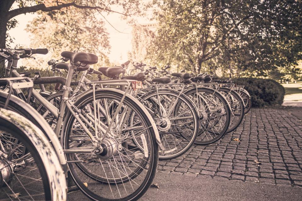 trees racks park cobblestone bikes bicycles 