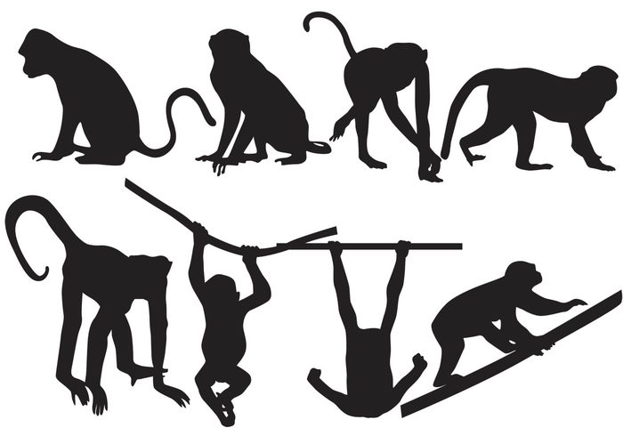 Free Free 159 Silhouette Monkey Svg Free SVG PNG EPS DXF File