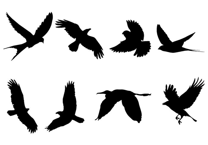 Download Free Flying Bird Silhouette Vector 126570 - WeLoveSoLo