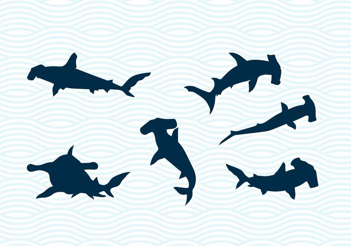 Download Hammerhead Sharks Vector Silhouettes 120566 - WeLoveSoLo