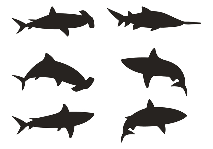 Free Free 344 Shark Tale Svg SVG PNG EPS DXF File