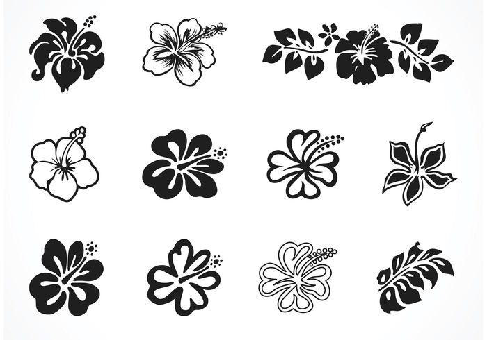 Download Free Vector Hibiscus Silhouettes 264528 - WeLoveSoLo