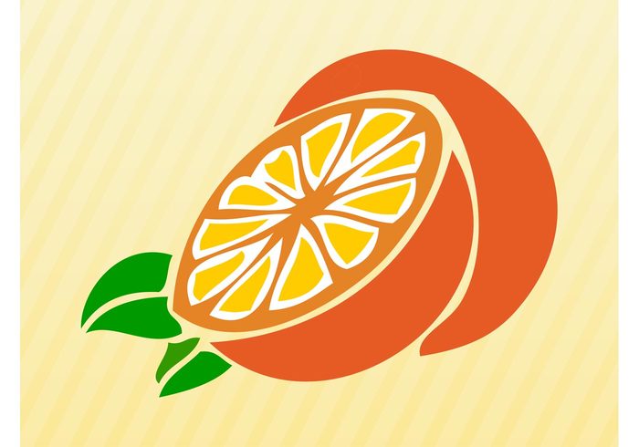 vitamins Orange vector orange juice orange nature logo icon Healthy fruit food Diet comic citrus cartoon 