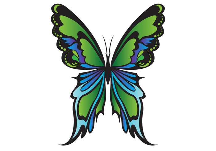 Green Butterfly Vector - WeLoveSoLo