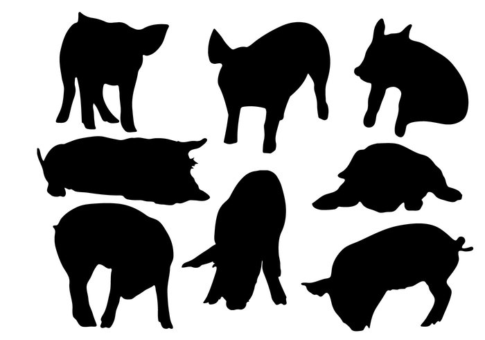 white vector symbol Swine silhouette set pork piglet pig outline meat mammal Livestock isolated hog farm element design collection black animal 