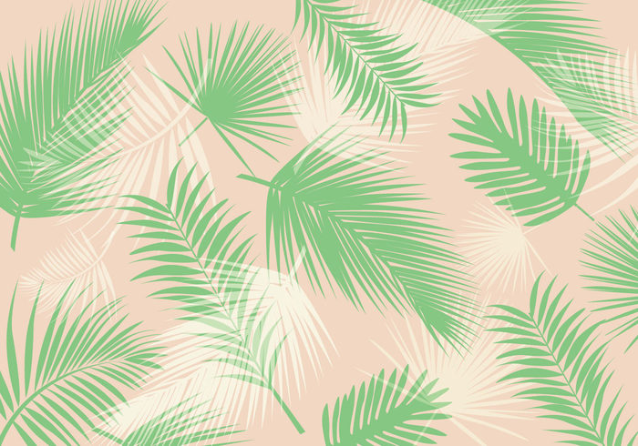 vegetation tropical tree symbol summer plant pattern Part palm pattern palm leaf pattern palm leaf isolated palm object nature lush life leafs leaf isolated green frond forest foliage flora droop delicate cycas cycad curve coconut close-up botany arch 