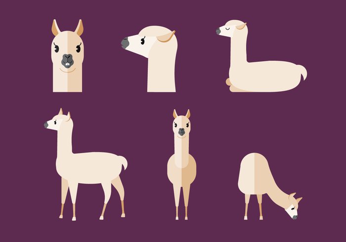 wildlife wild vector tropical standing picture nature mammal llama living image illustration graphic fur fluffy exotic drawing cute creature clipart clip art clip character cartoon Carnivore brown background art animal adorable 