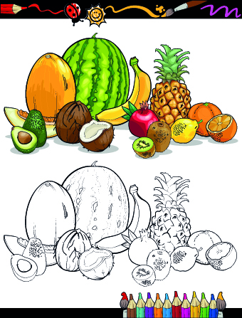 vegetables vegetable sketch fruit color 