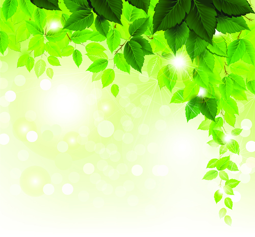 Refreshing green leaves background vector 01 - WeLoveSoLo