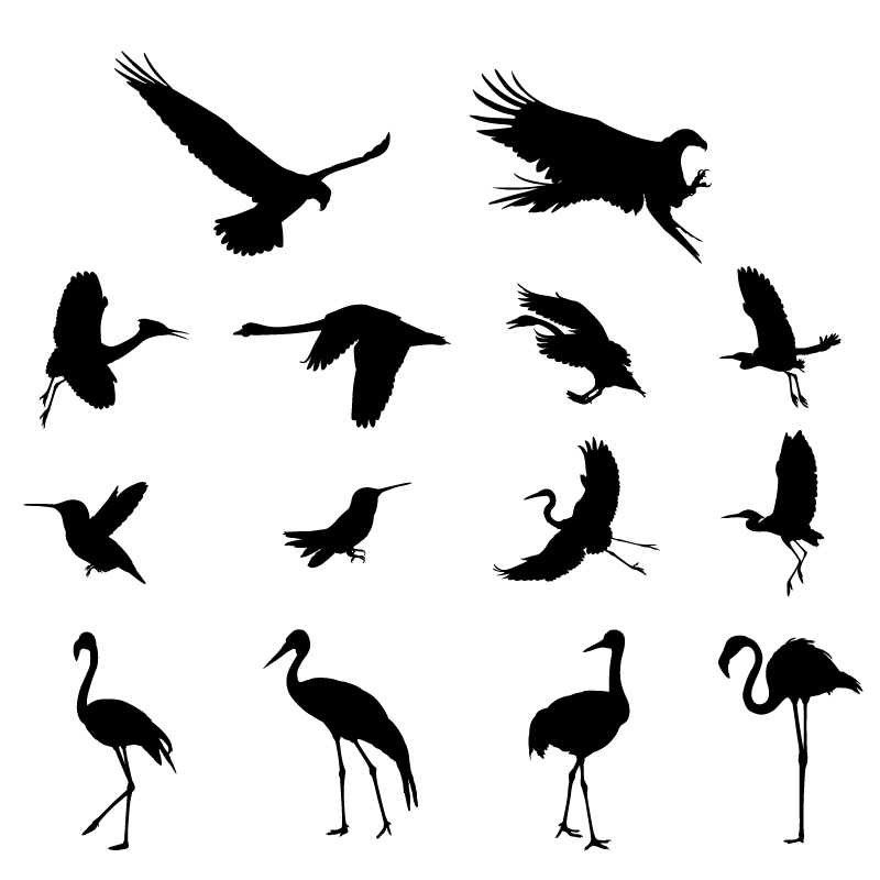 Various birds silhouettes vector set 02 - WeLoveSoLo