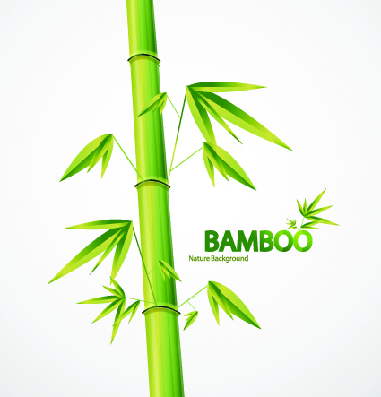 elements element bamboo 
