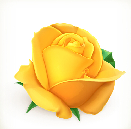 yellow rose material 