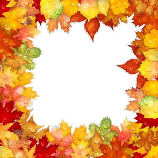 Autumn leaves frame with water dorp vector - WeLoveSoLo