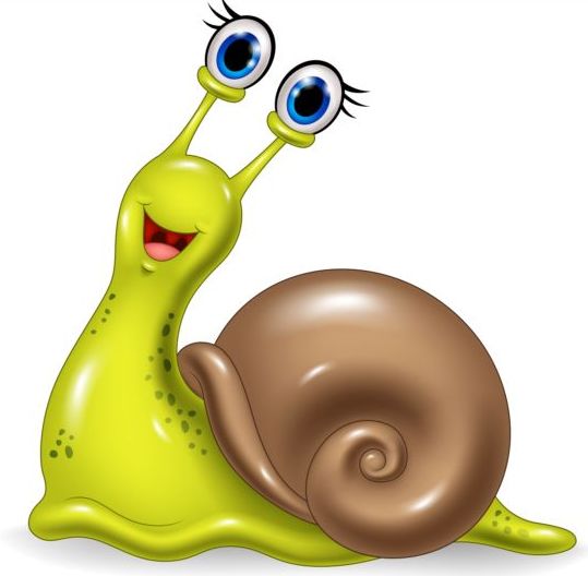 snails lovely cartoon 