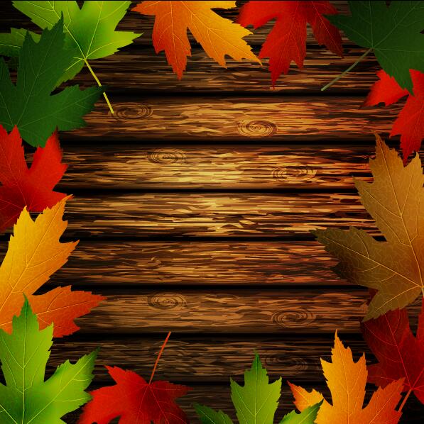 wooden leaves frame autumn 